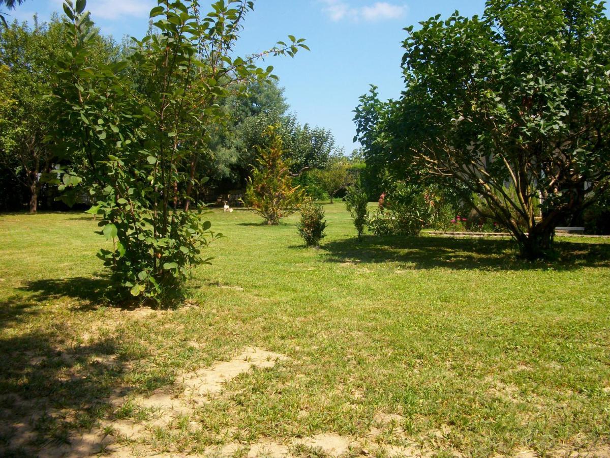 Domaine De Monein Bed & Breakfast Saint-Andre-de-Cubzac Bagian luar foto