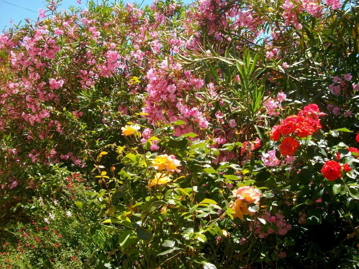 Domaine De Monein Bed & Breakfast Saint-Andre-de-Cubzac Bagian luar foto