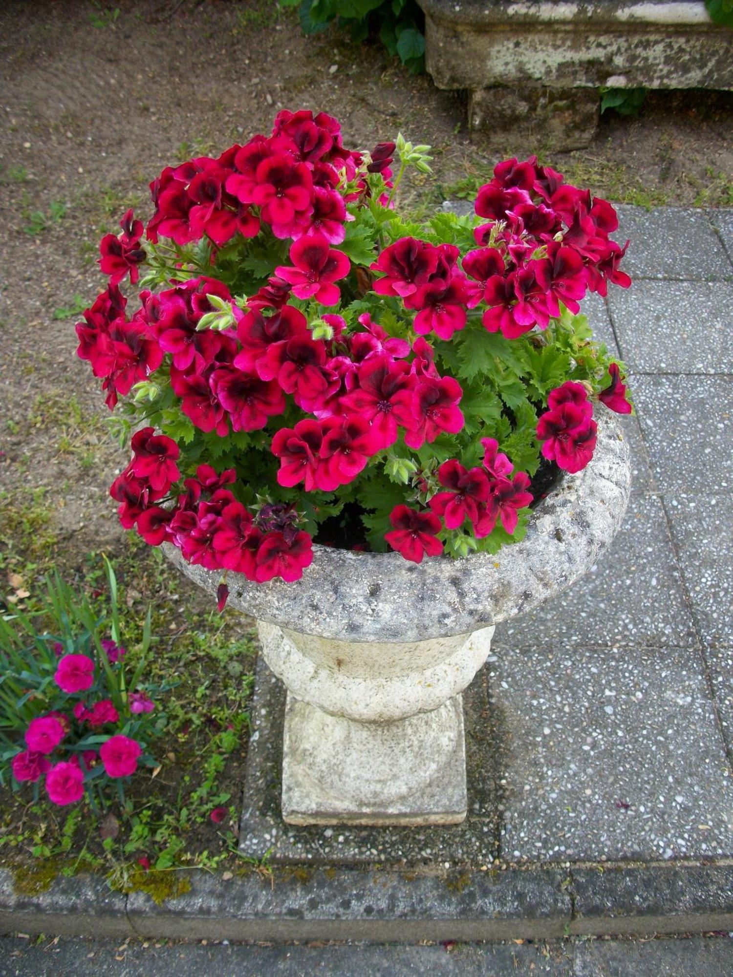 Domaine De Monein Bed & Breakfast Saint-Andre-de-Cubzac Bagian luar foto