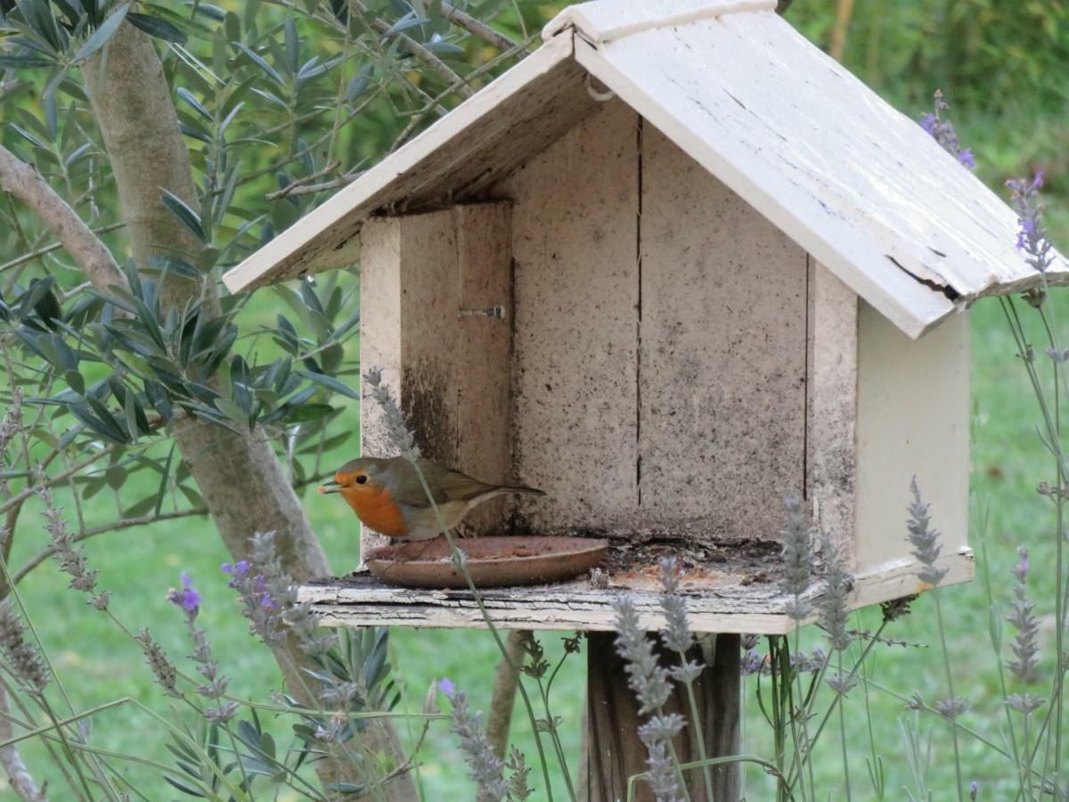 Domaine De Monein Bed & Breakfast Saint-Andre-de-Cubzac Bagian luar foto