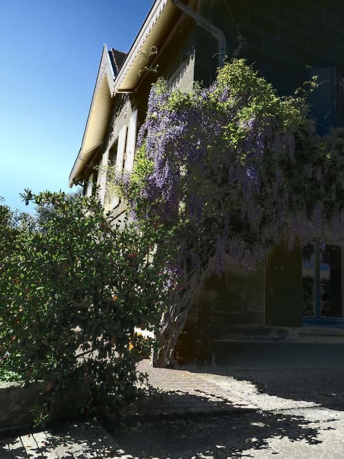 Domaine De Monein Bed & Breakfast Saint-Andre-de-Cubzac Bagian luar foto